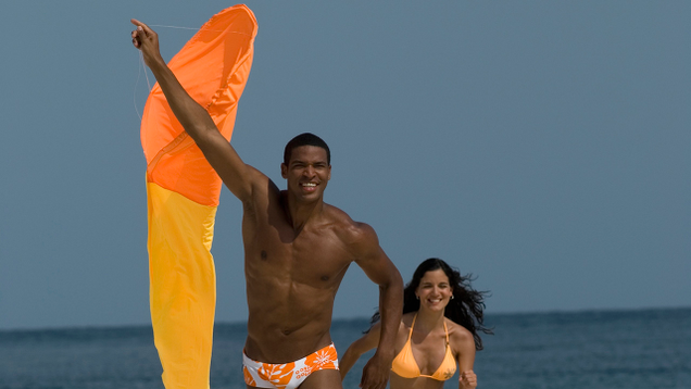 Illustration for article titled This Is Simply A List Of Black People Flying Kites